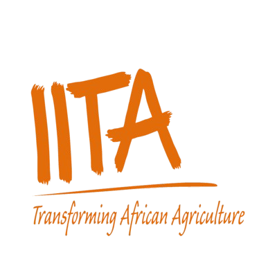 IITA-1-removebg-preview